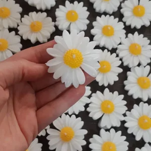 Daisy candle
